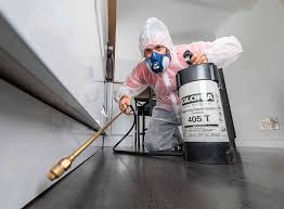 Best Fumigation Services  in Fayetteville, GA